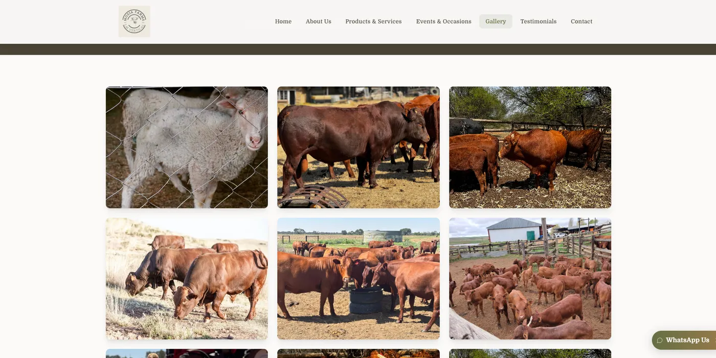 The Mosia Farms gallery page, a grid of photographs of the cattle and sheep on the farm
